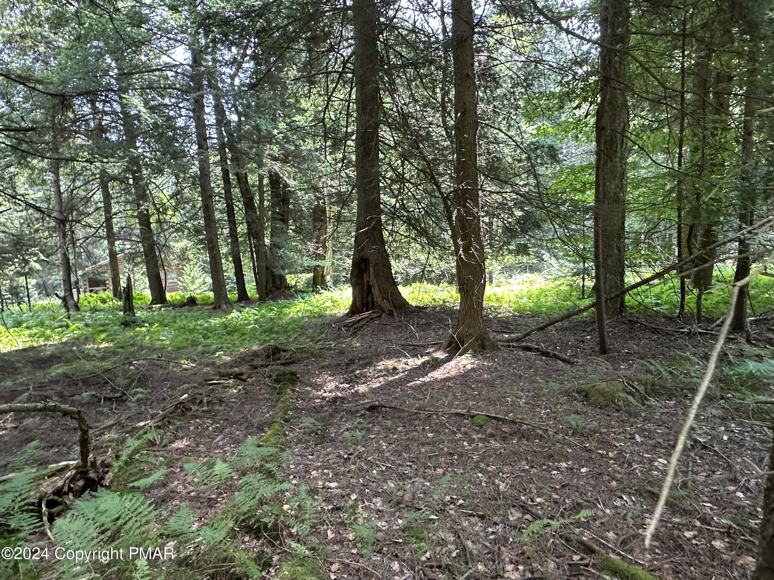 1127 Sawmill Road, Pocono Lake, Pennsylvania image 13