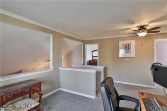 2424 Juniper Drive, Coplay, Pennsylvania image 19