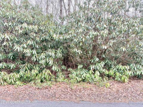 Vacant Land For Sale - LOT 49A Susquehanna Drive<br/> Carbon County, Jim Thorpe, PA 18229