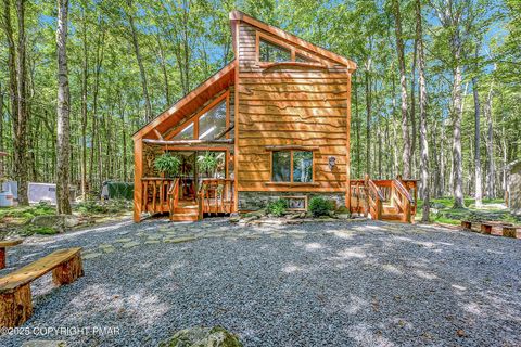 133 Minisink Drive Pocono Lake PA 18347