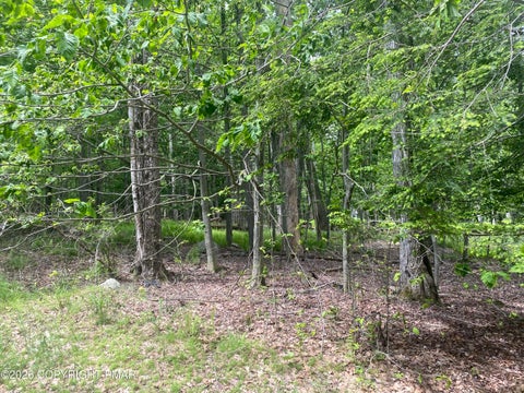 Vacant Land For Sale - 86 Lookout Point Road<br/> Canadensis, PA 18325