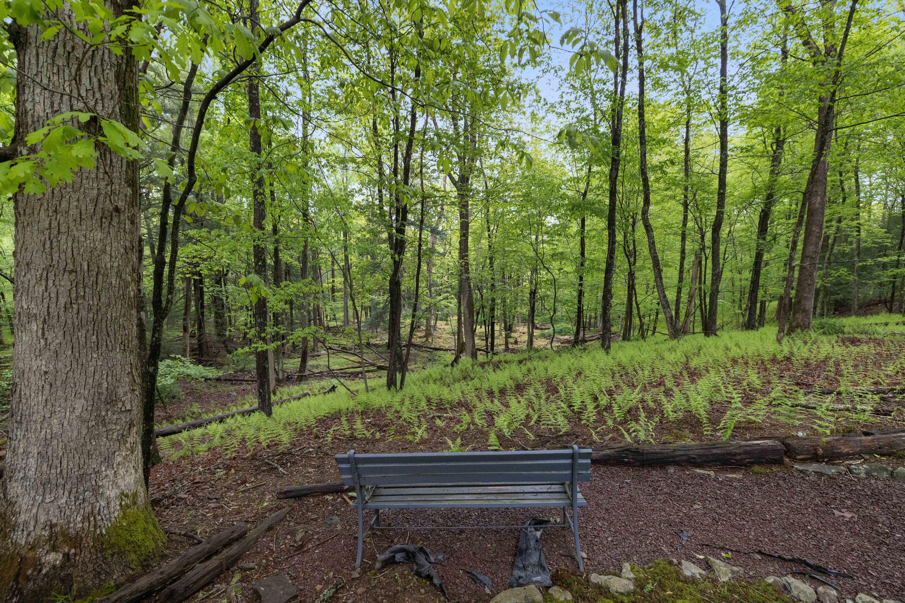 151 Forest Drive, Canadensis, Pennsylvania image 43