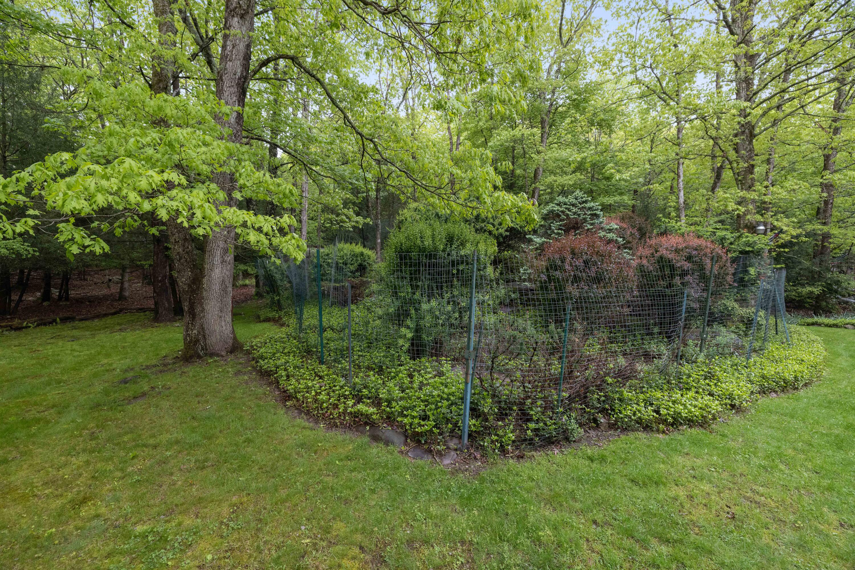151 Forest Drive, Canadensis, Pennsylvania image 42