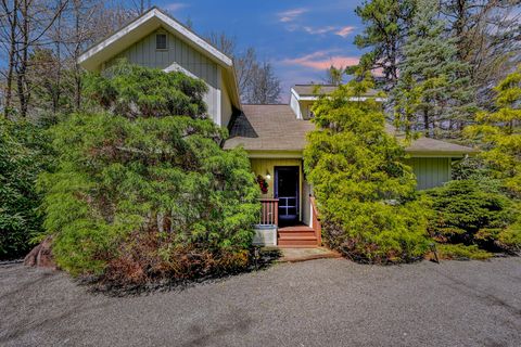 264 Tanglewood Drive Pocono Pines PA 18350