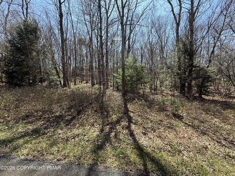 Vacant Land For Sale - G556 Drakes Drive<br/> Jim Thorpe, PA 18229