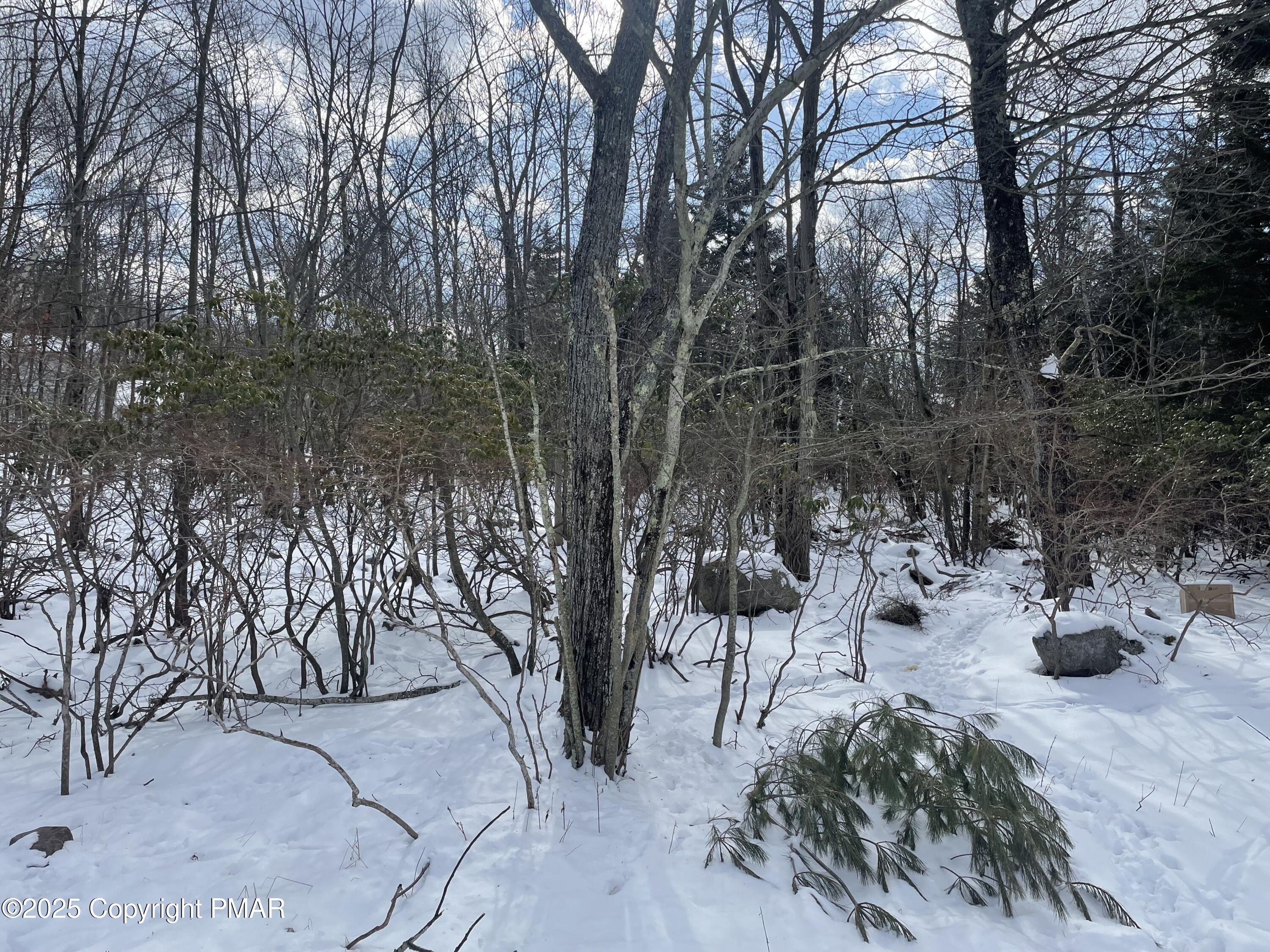 262 Park Terr Terrace, Tobyhanna, Pennsylvania image 2