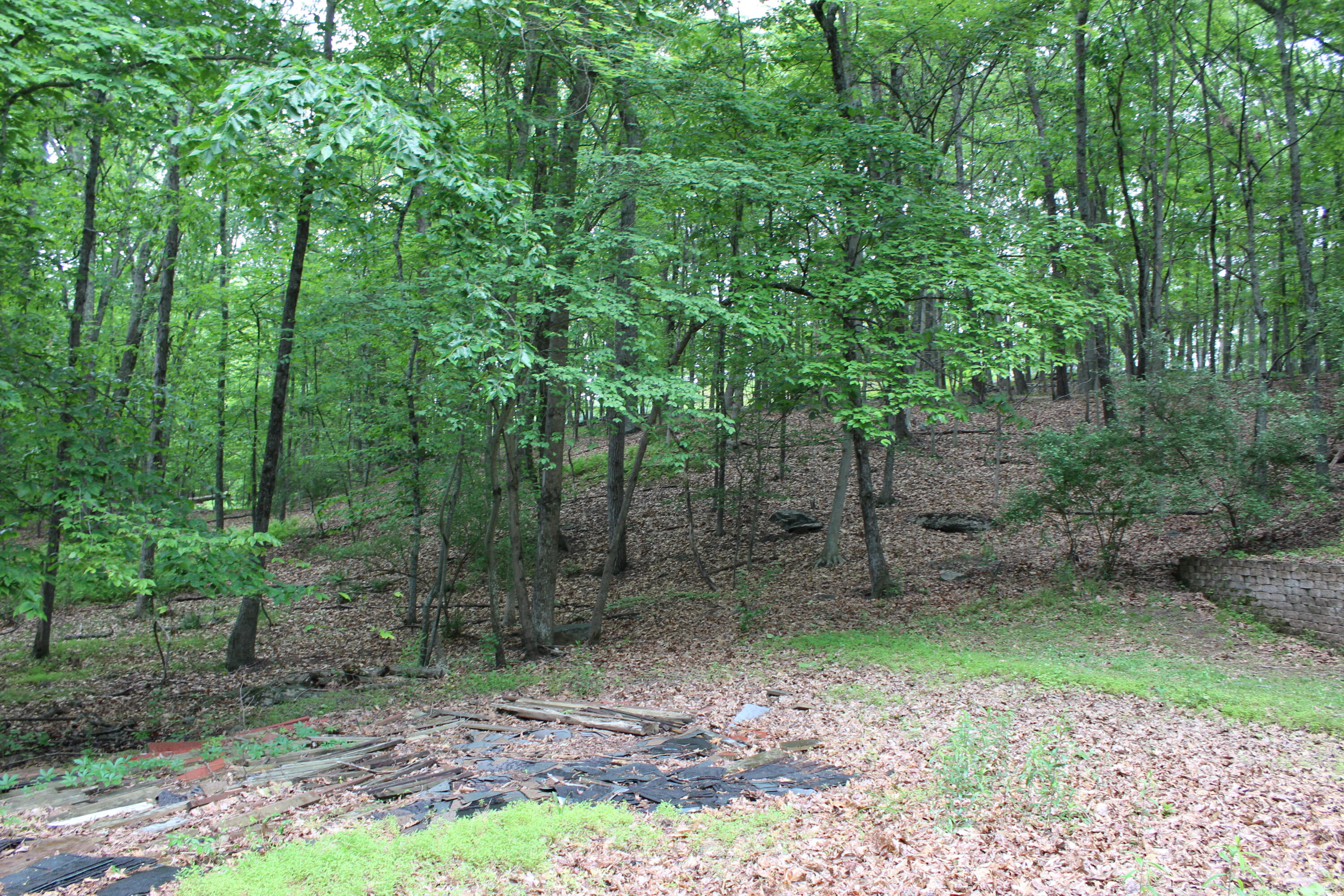 55 Arbutus Lane, East Stroudsburg, Pennsylvania image 36