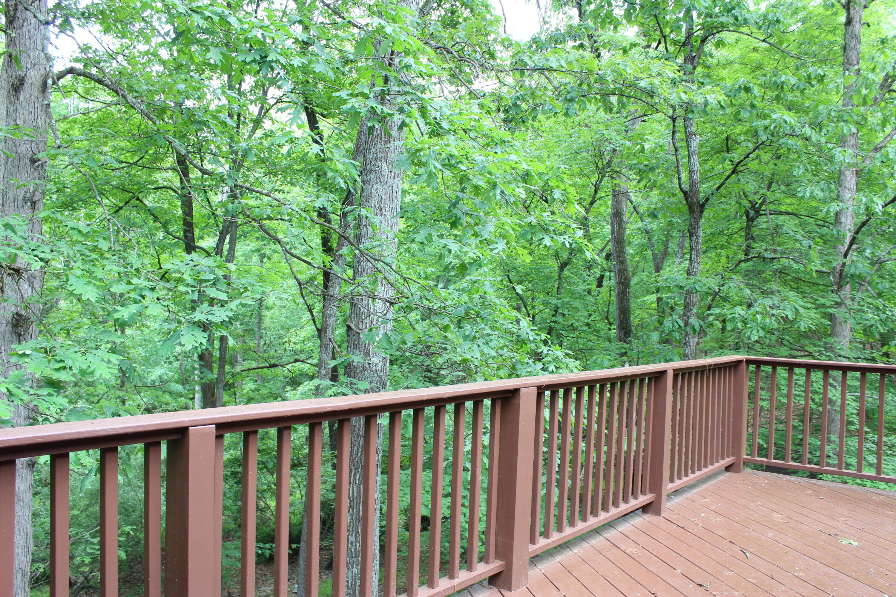 55 Arbutus Lane, East Stroudsburg, Pennsylvania image 19