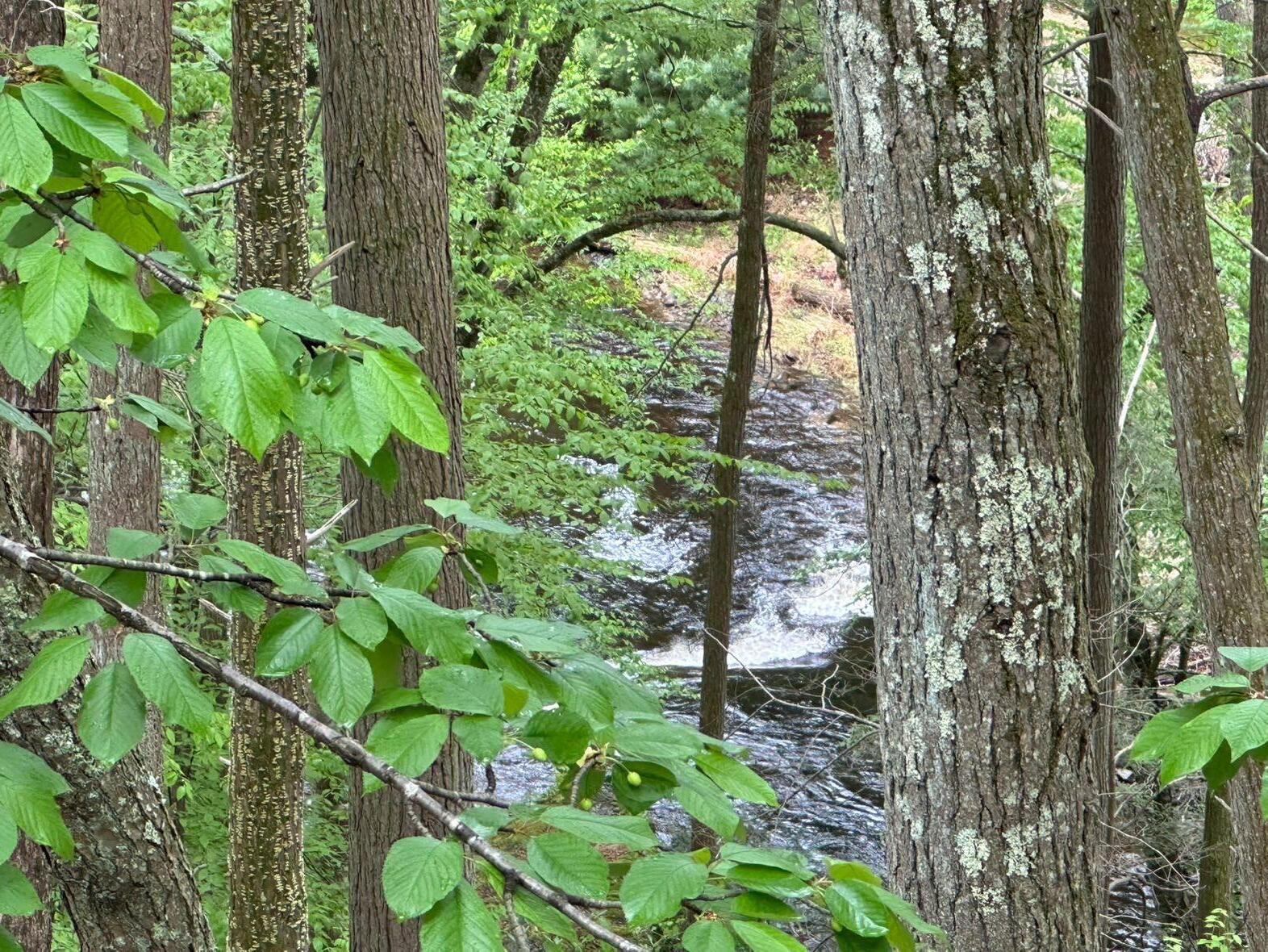 207 Manchester Drive