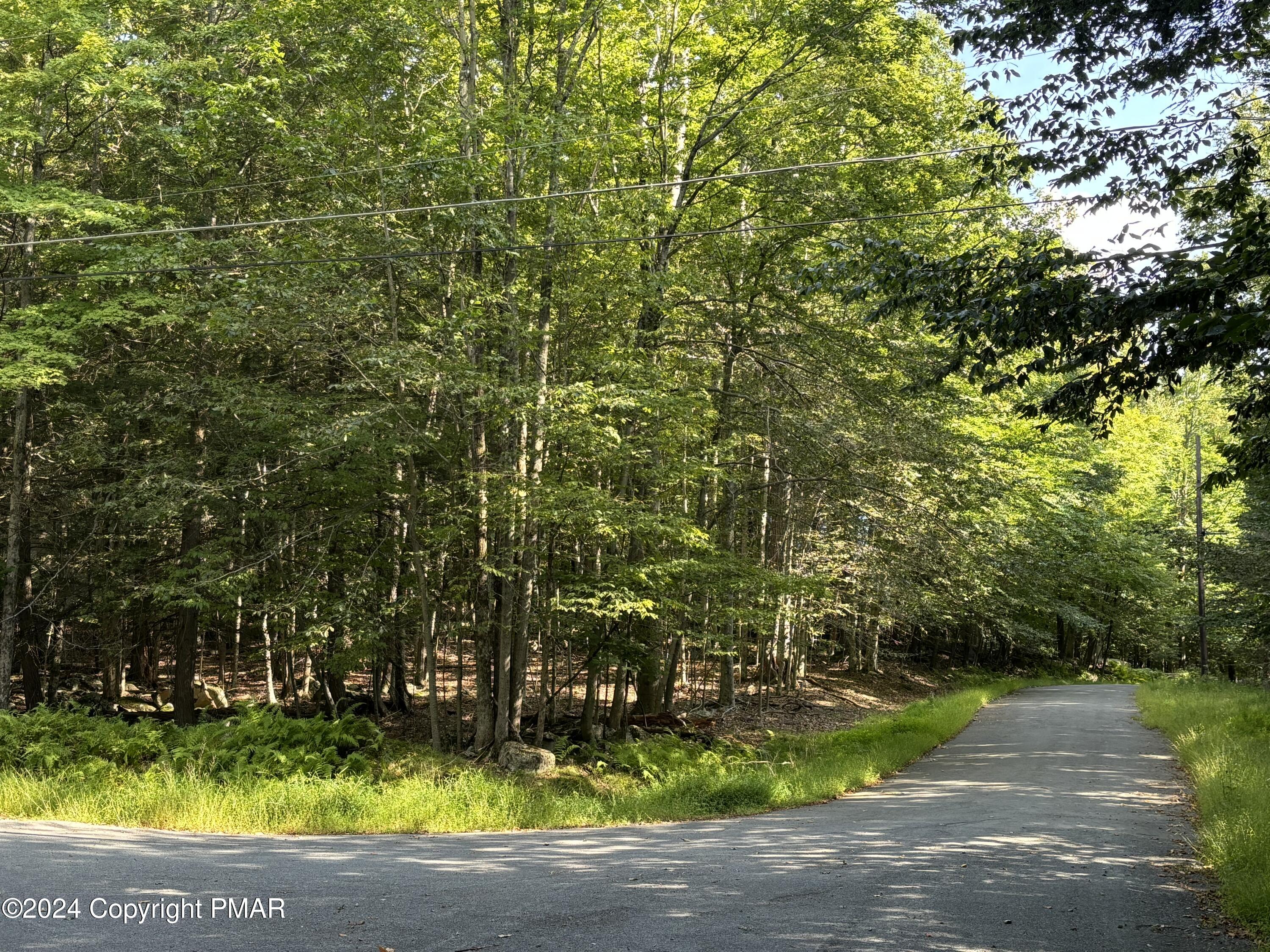 Lot 798 Oak Drive, Hawley, Pennsylvania image 1