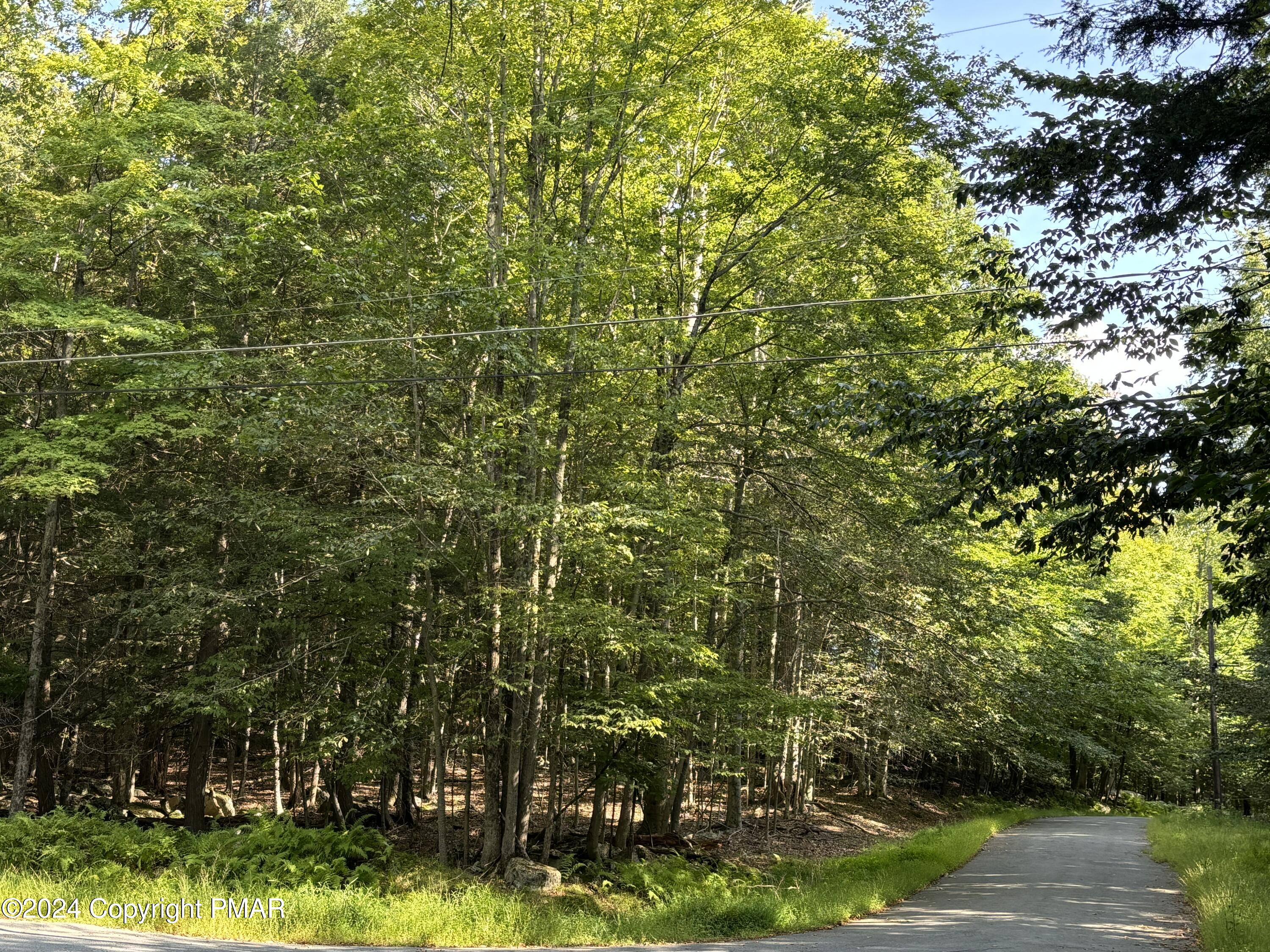Lot 798 Oak Drive, Hawley, Pennsylvania image 2