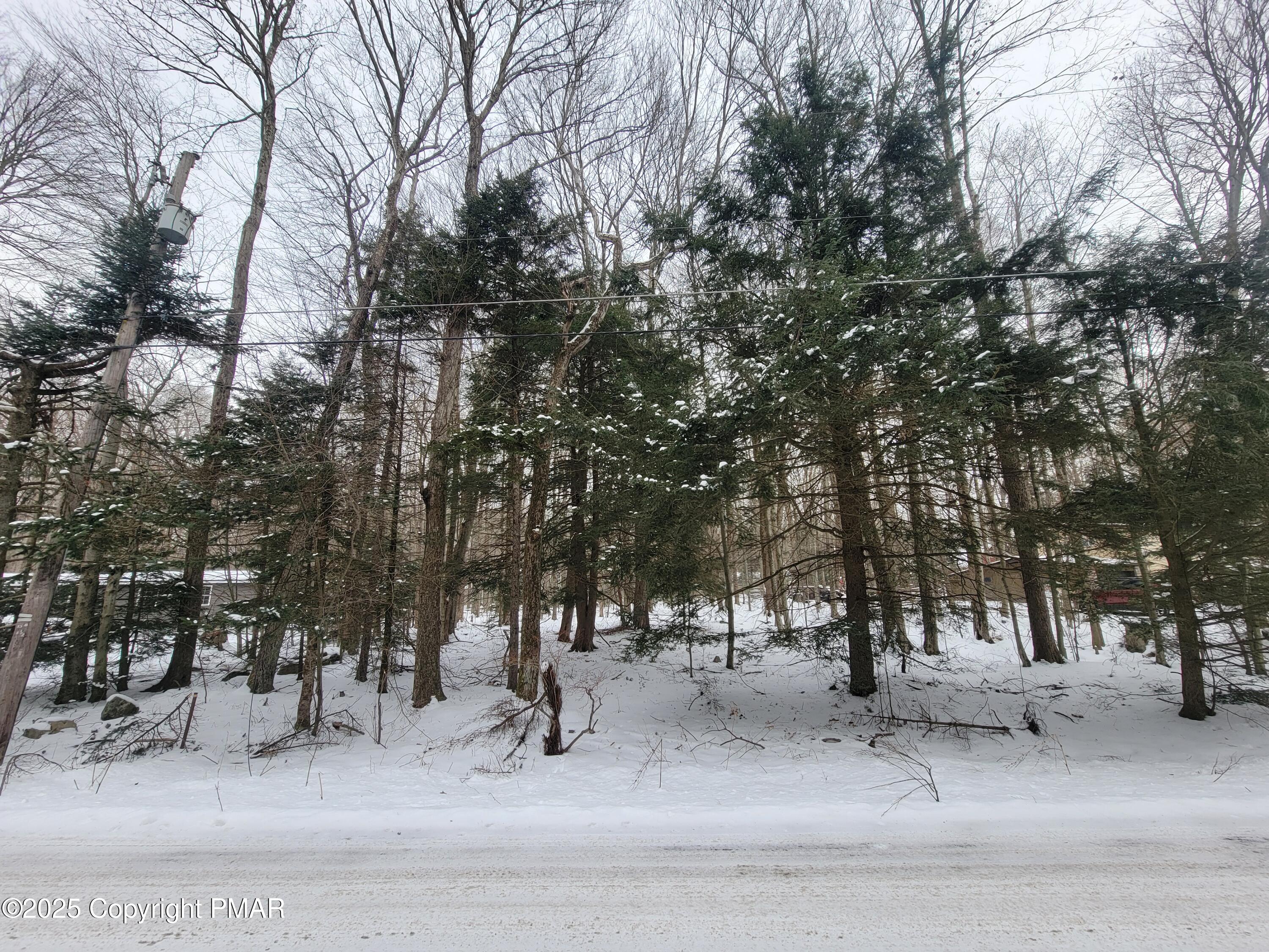 46 Onoco Drive, Pocono Lake, Pennsylvania image 3