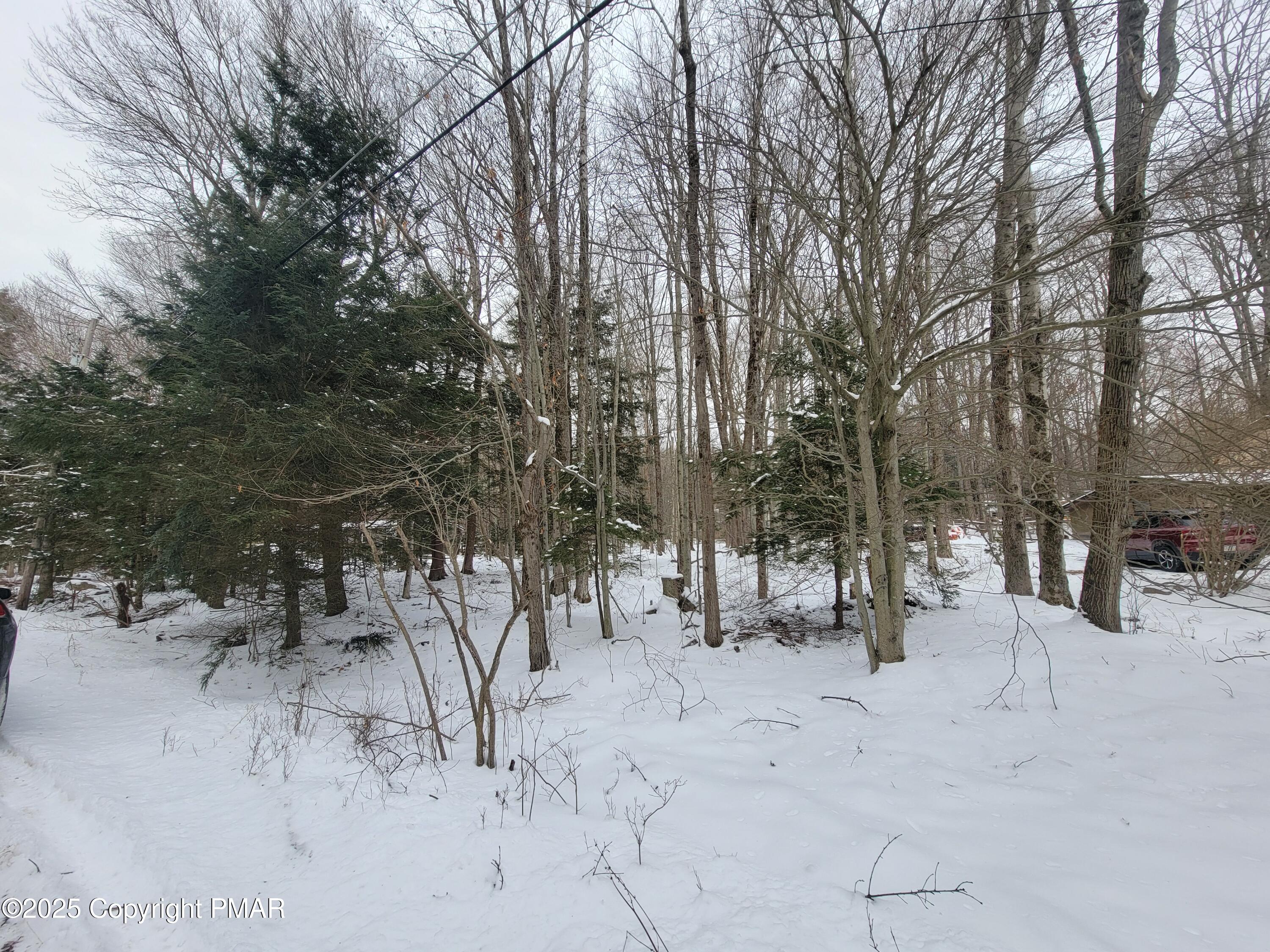 46 Onoco Drive, Pocono Lake, Pennsylvania image 5