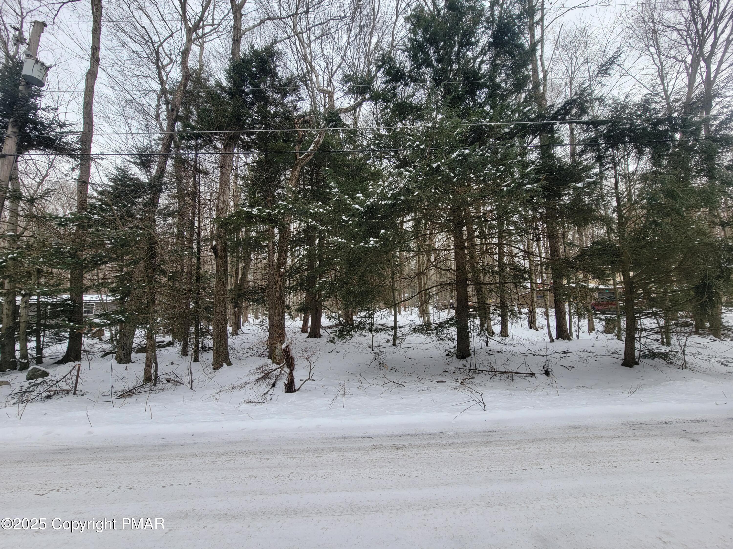 46 Onoco Drive, Pocono Lake, Pennsylvania image 2