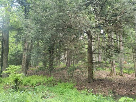 Vacant Land For Sale - 46 Onoco Drive<br/> Monroe County, Pocono Lake, PA 18347