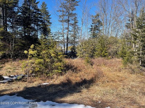 Vacant Land For Sale - C1465 Holmes Way<br/> Albrightsville, PA 18210