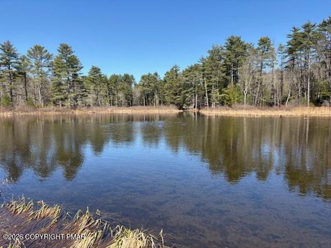 Vacant Land For Sale - 206 Cranberry Creek Road<br/> Monroe County, Cresco, PA 18326