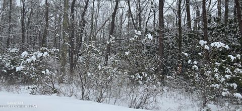 Vacant Land For Sale - Beechwood Drive<br/> Jim Thorpe, PA 18229