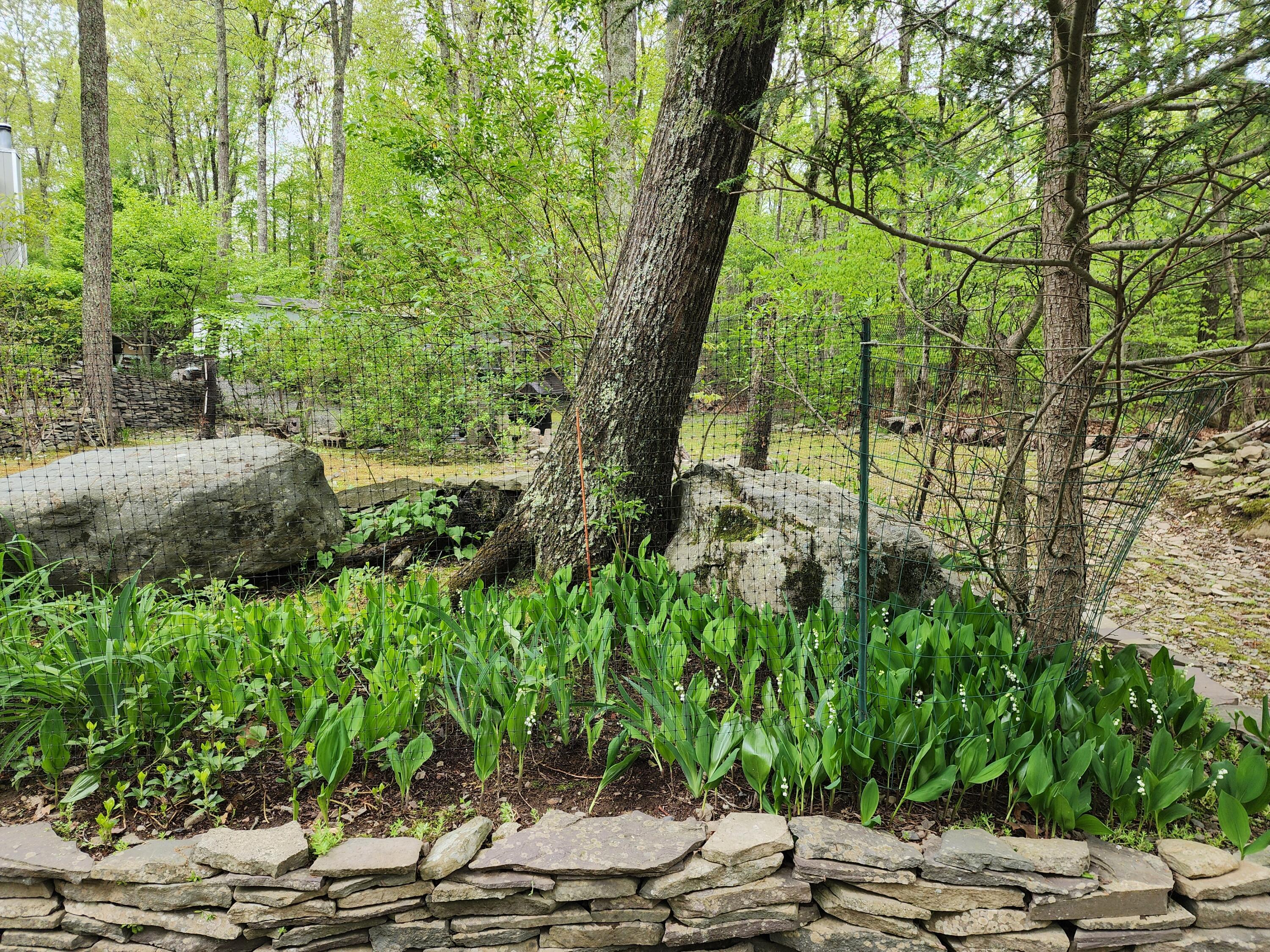 301 Estate Drive, East Stroudsburg, Pennsylvania image 27