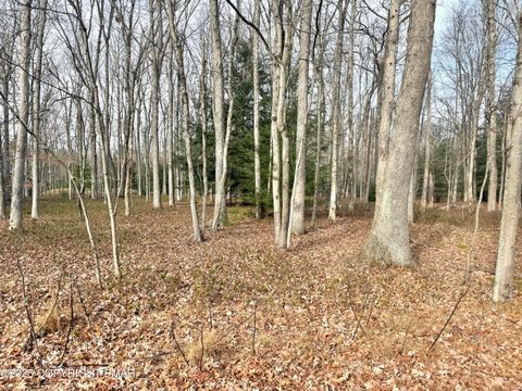 123 Towamensing Trail Albrightsville PA 18210