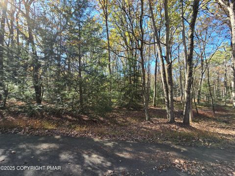 Vacant Land For Sale - H570 Cross Run Road & Engler Lane<br/> Jim Thorpe, PA 18229