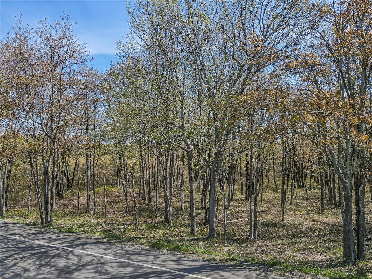 Pa 115 2, Blakeslee, Pennsylvania image 29