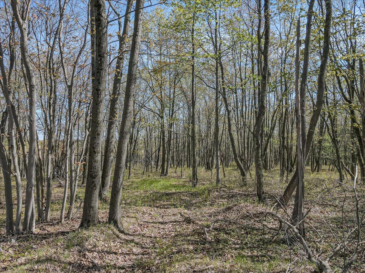 Pa 115 2, Blakeslee, Pennsylvania image 23