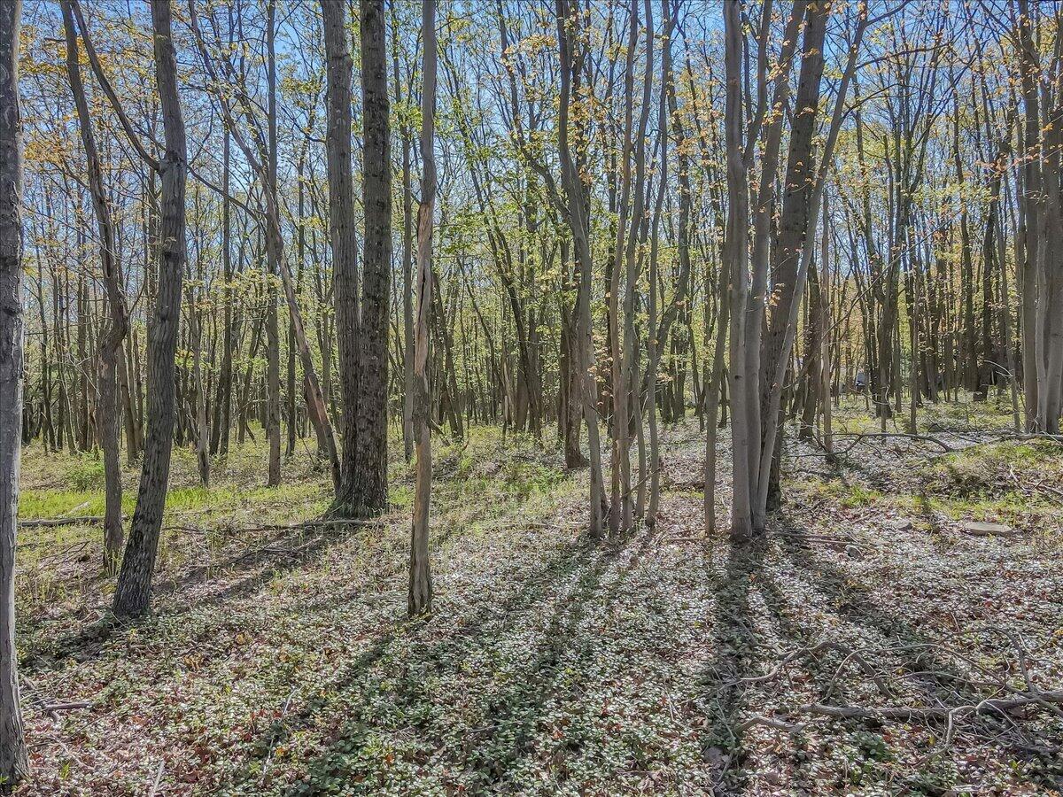 Pa 115 2, Blakeslee, Pennsylvania image 27