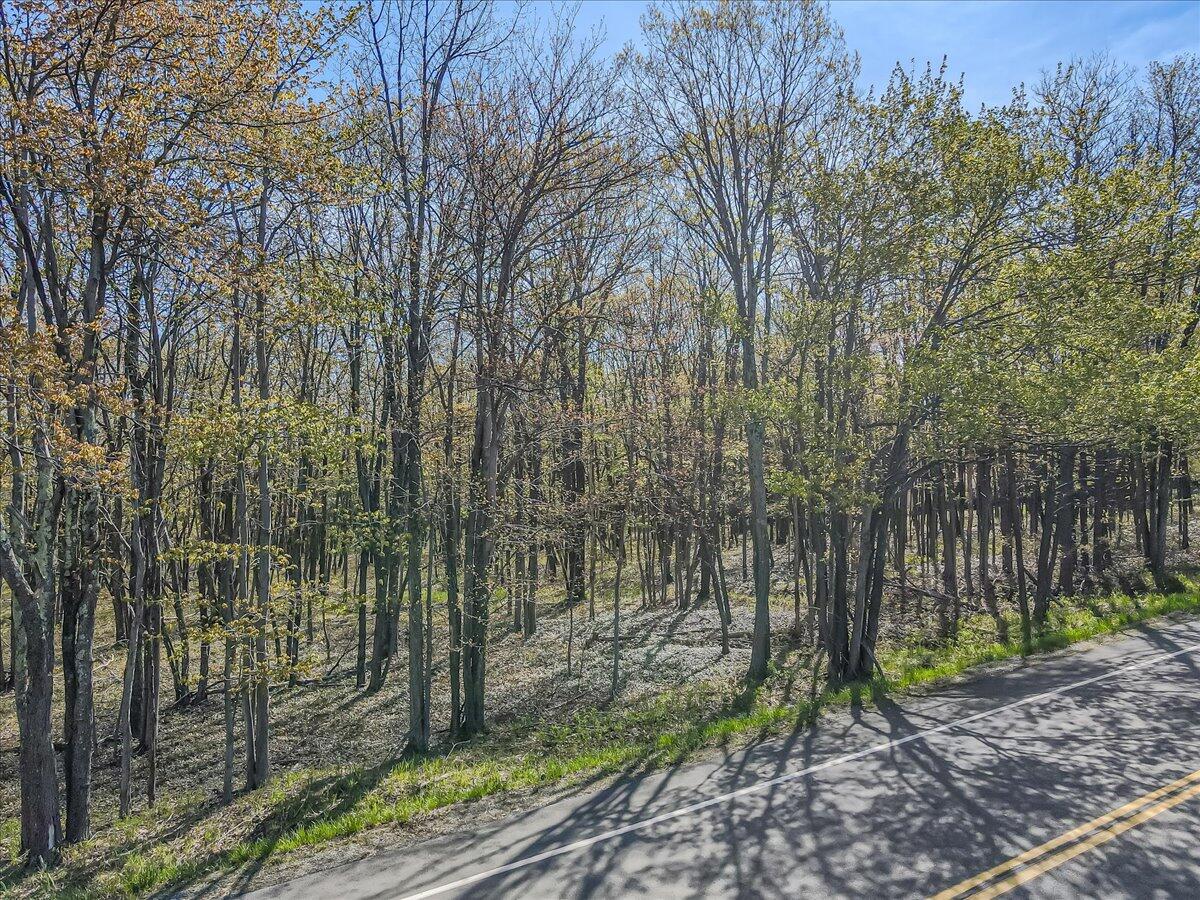 Pa 115 2, Blakeslee, Pennsylvania image 21