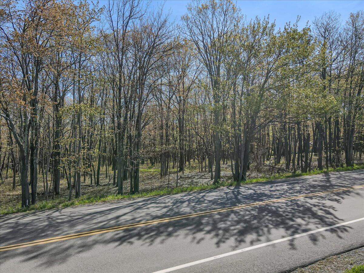Pa 115 2, Blakeslee, Pennsylvania image 18