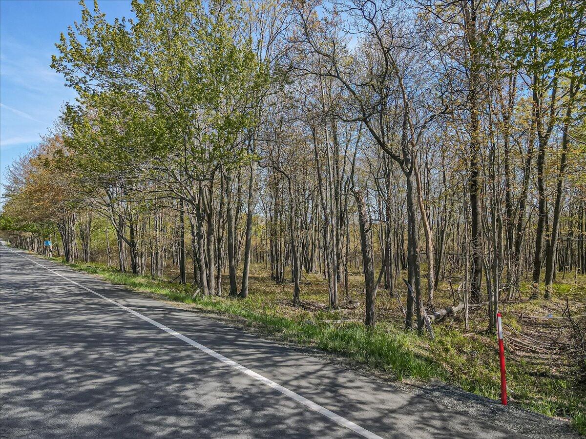 Pa 115 2, Blakeslee, Pennsylvania image 13