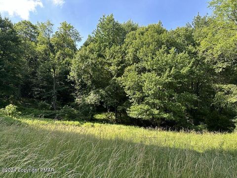 Vacant Land For Sale - 132 Crescent Lake Road<br/> Scotrun, PA 18355