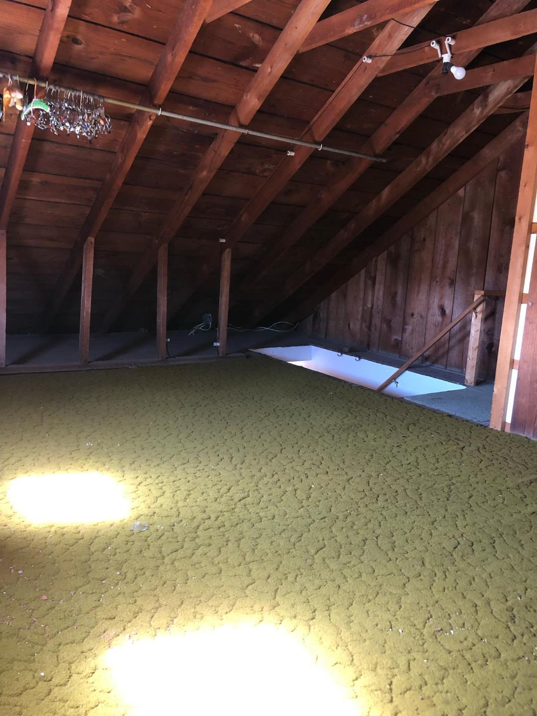 458 South Street, Freeland, Pennsylvania image 23