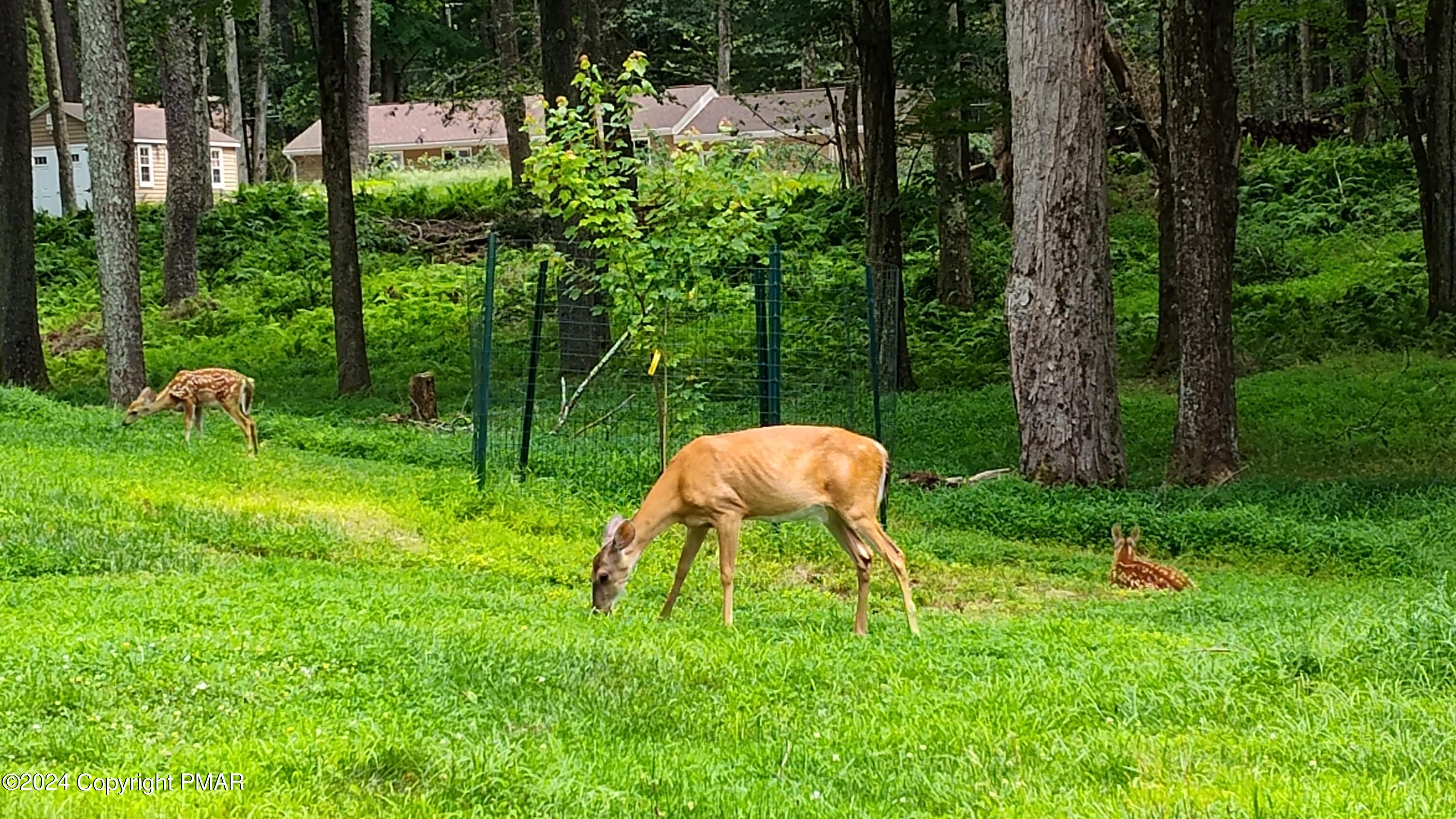 321 Stroud Court, Pocono Lake, Pennsylvania image 27