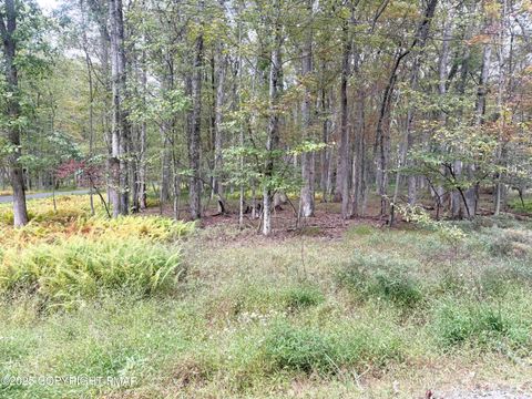 Willow Drive Jim Thorpe PA 18229