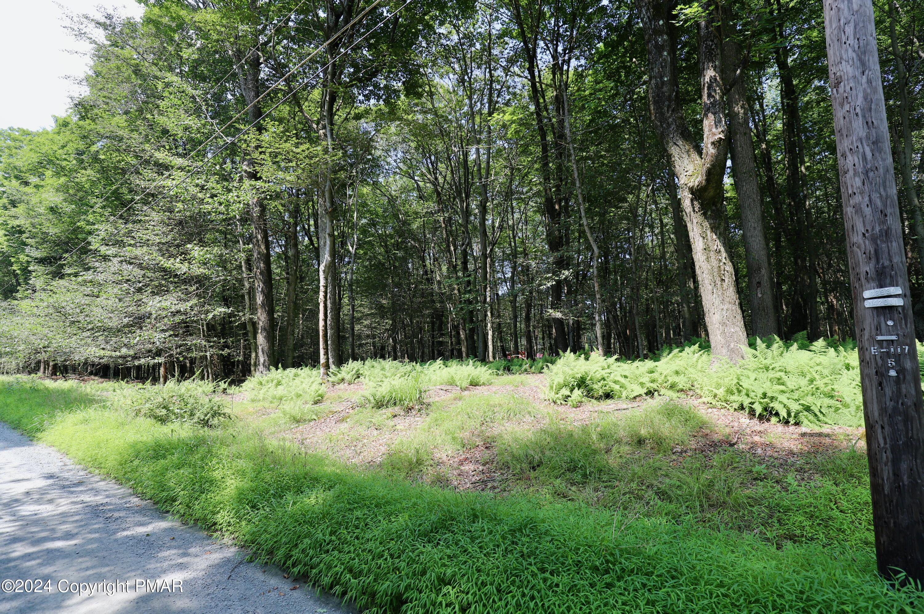 View Lot 827 Drive, Greentown, Pennsylvania image 5