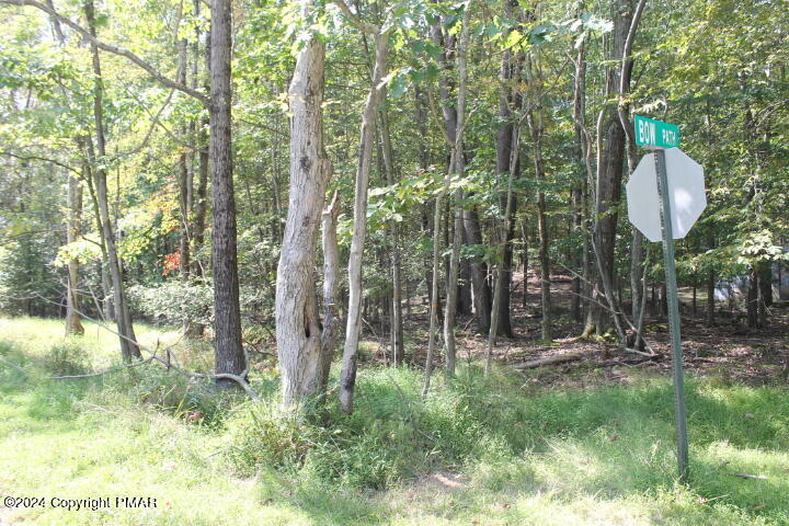 #22 Omaha Trail, Pocono Lake, Pennsylvania image 3