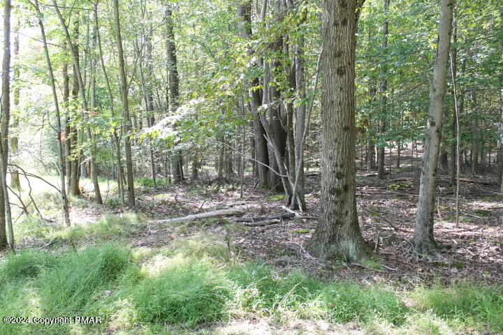 #22 Omaha Trail, Pocono Lake, Pennsylvania image 5