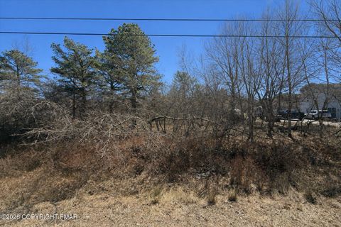 Vacant Land For Sale - 617 Center Drive<br/> Monroe County, Blakeslee, PA 18610
