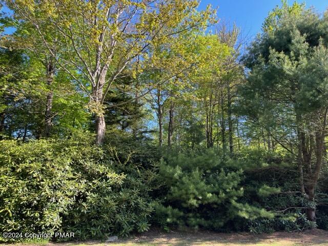 10 Brookside Drive, Pocono Pines, Pennsylvania image 1