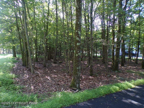 Vacant Land For Sale - LIII712 Juniper Lane<br/> Albrightsville, PA 18210