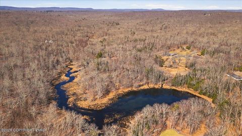 Vacant Land For Sale - 1374 Spruce Drive<br/> Monroe County, Cresco, PA 18326