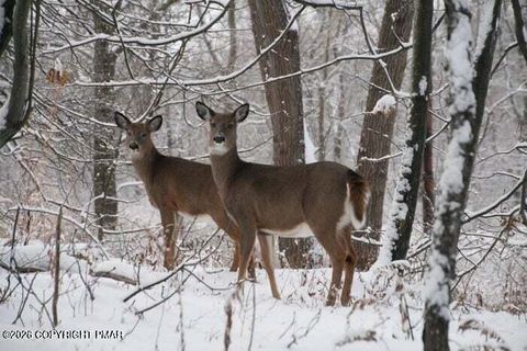 1065 Stag Run #1614 Pocono Lake PA 18347