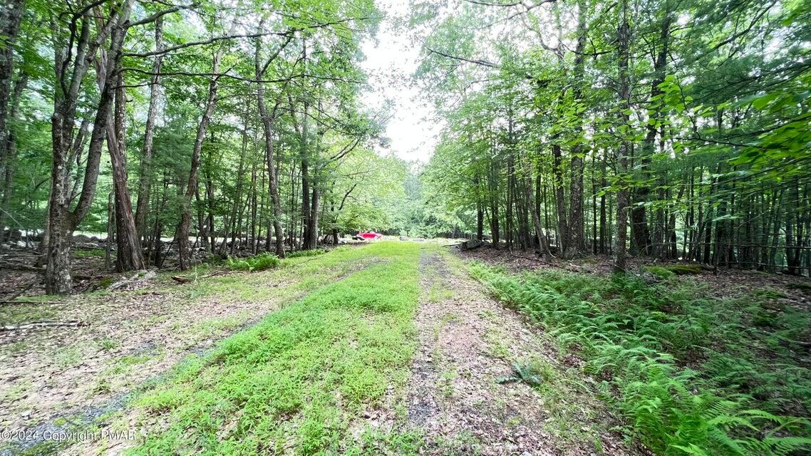 Lots 220-223 Snow Bird Lane, Tafton, Pennsylvania image 7