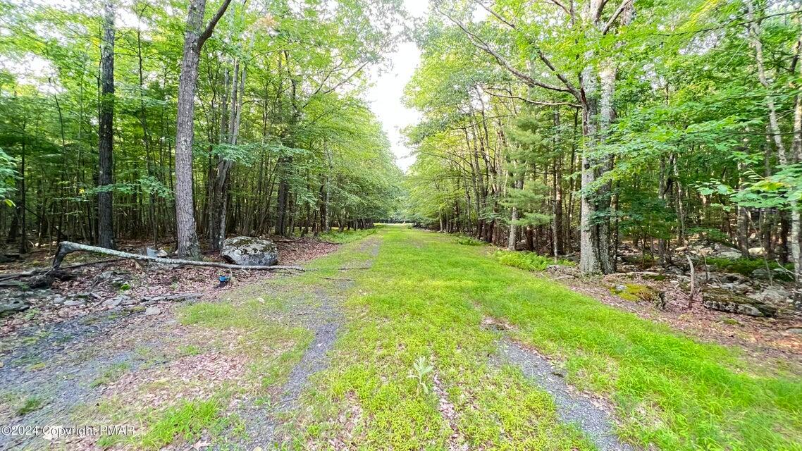 Lots 220-223 Snow Bird Lane, Tafton, Pennsylvania image 4