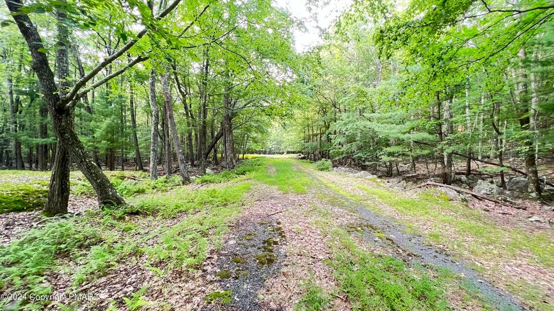 Lots 220-223 Snow Bird Lane, Tafton, Pennsylvania image 8