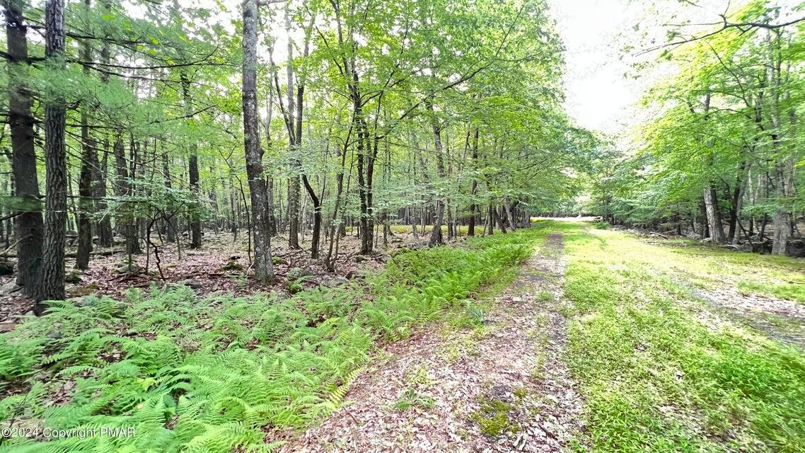 Lots 220-223 Snow Bird Lane, Tafton, Pennsylvania image 6