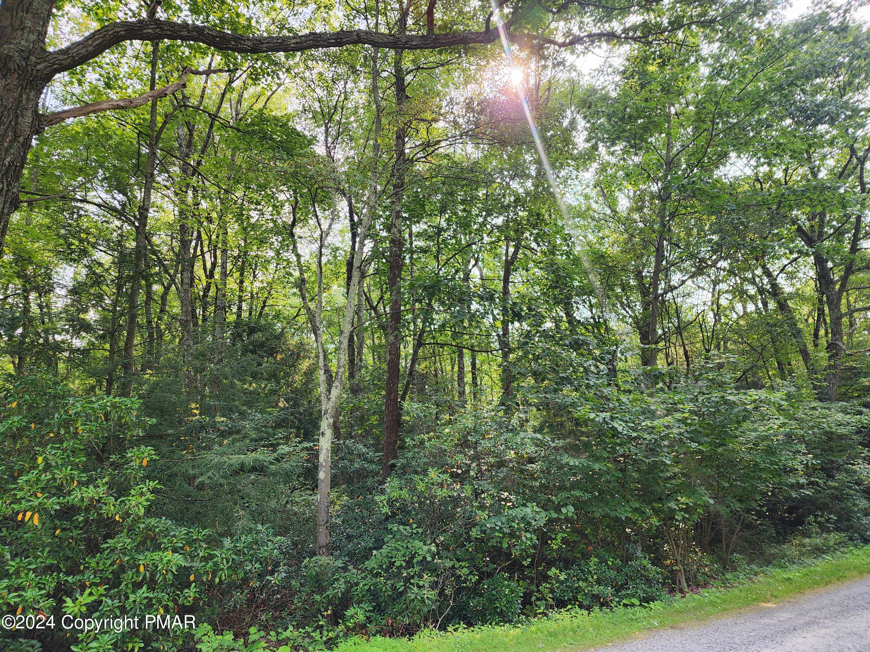 Lot A48 White Pine Rd&red Oak, Jim Thorpe, Pennsylvania image 3