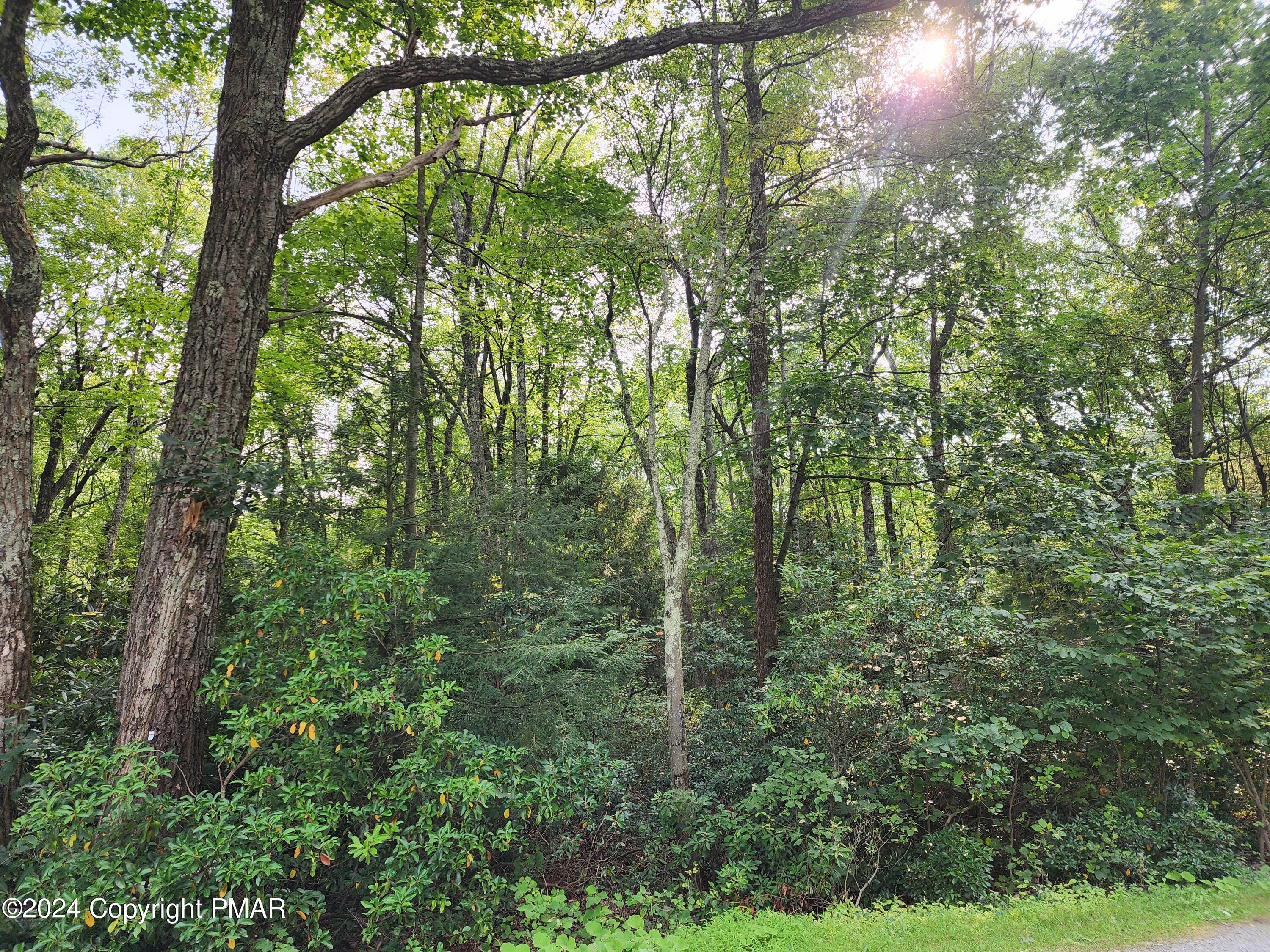 Lot A48 White Pine Rd&red Oak, Jim Thorpe, Pennsylvania image 1