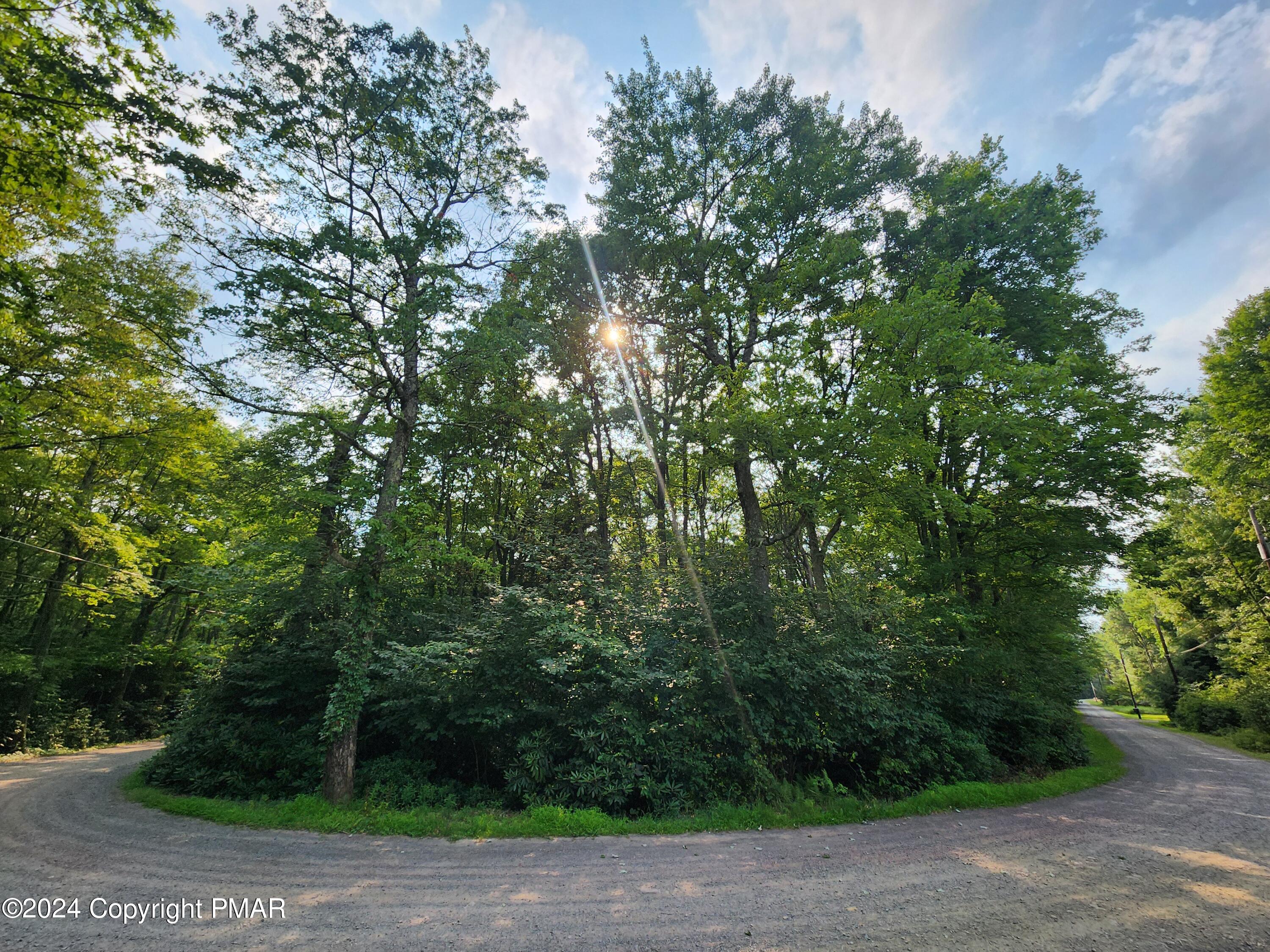 Lot A48 White Pine Rd&red Oak, Jim Thorpe, Pennsylvania image 5